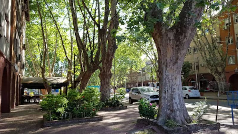 No es Palermo: el barrio oculto de Buenos Aires donde las calles llevan nombres de flores