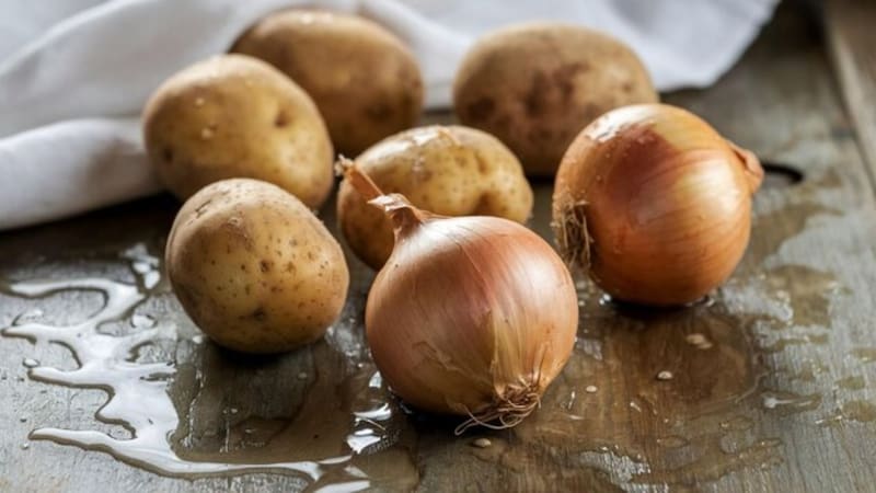 No se pudre más: las dos claves para que la papa no se eche a perder. Foto: Freepik