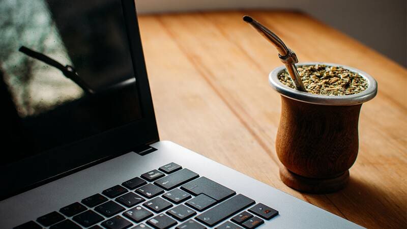 No son solo para el gusto: las propiedades ocultas de los yuyos que los expertos recomiendan ponerle al mate
