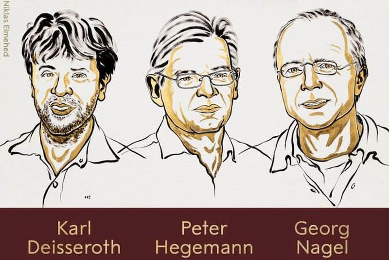 El nobel de Medicina fue para Karl Deisseroth, Peter Hegemann y Georg Nagel (Fuente: Fundación Nobel).