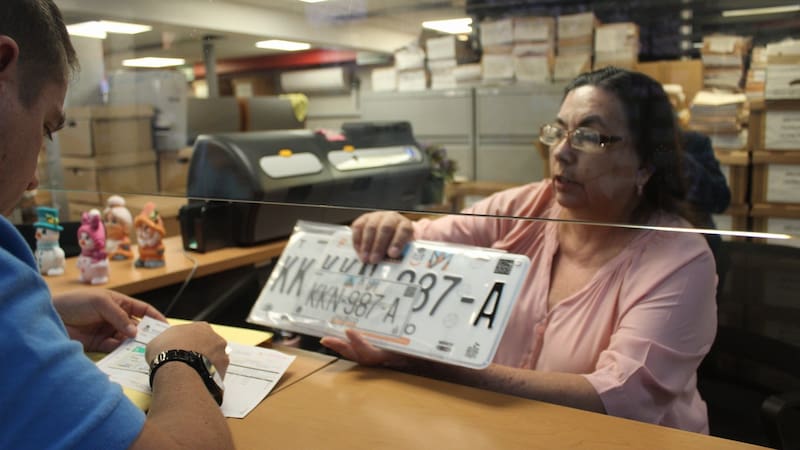 “Nos queda el mes de diciembre para poder realizar el canje o la sustitución de placas de aquellos vehículos que tengan placas Minerva, Maguey y Gota”, mencionó