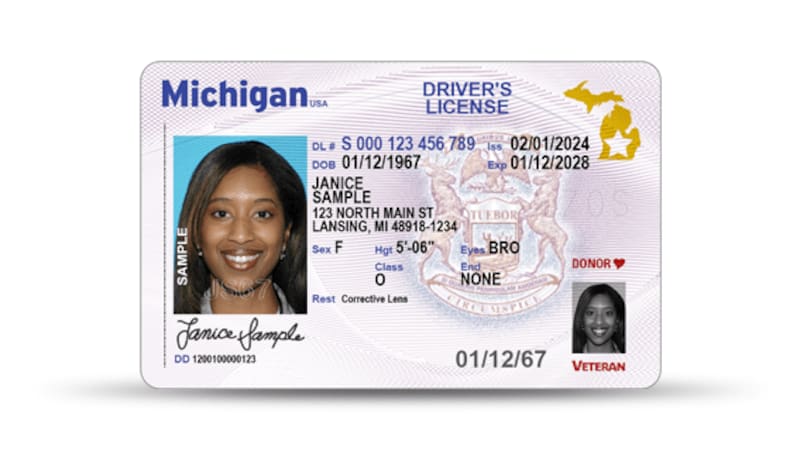 Así luce la nueva licencia de conducir de Michigan. Fuente: Departamento de Estado de Michigan.