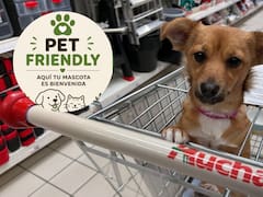 Es ley y obligatorio | Todos los negocios pet friendly deberán tramitar la nueva certificación para perros y gatos