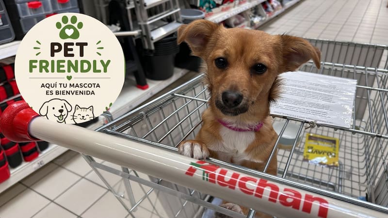 Negocios Pet Friendly deberán advertirlo y dejarlo claro.