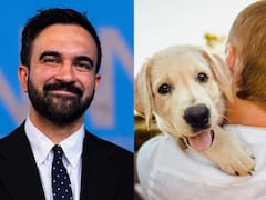 Nueva York ayuda a quienes tienen mascotas: depositarán 450 dólares en las cuentas de todas las personas y familias con perros o gatos