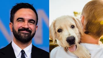 Nueva York ayuda a quienes tienen mascotas: depositarán 450 dólares en las cuentas de todas las personas y familias con perros o gatos