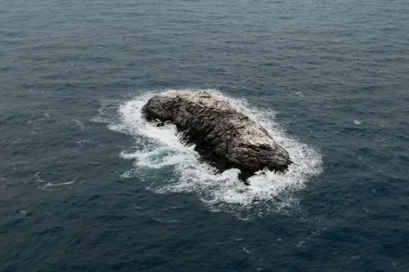 Nuevo descubrimiento