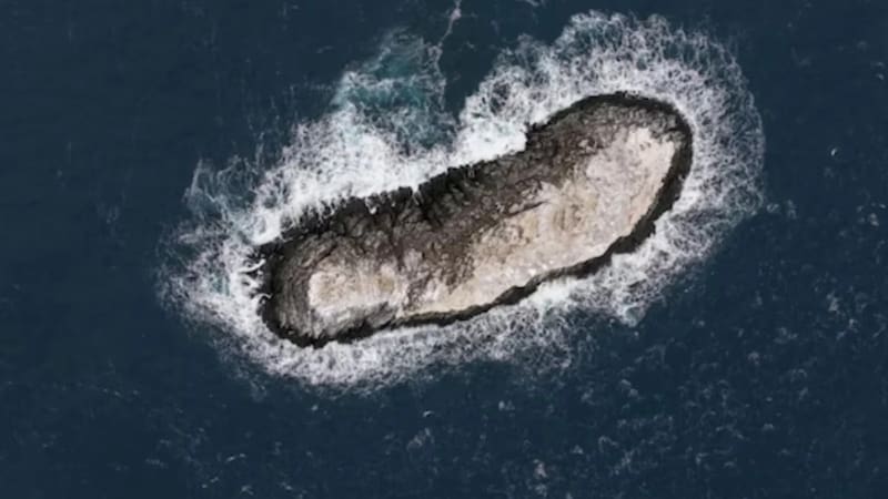 Nuevo descubrimiento