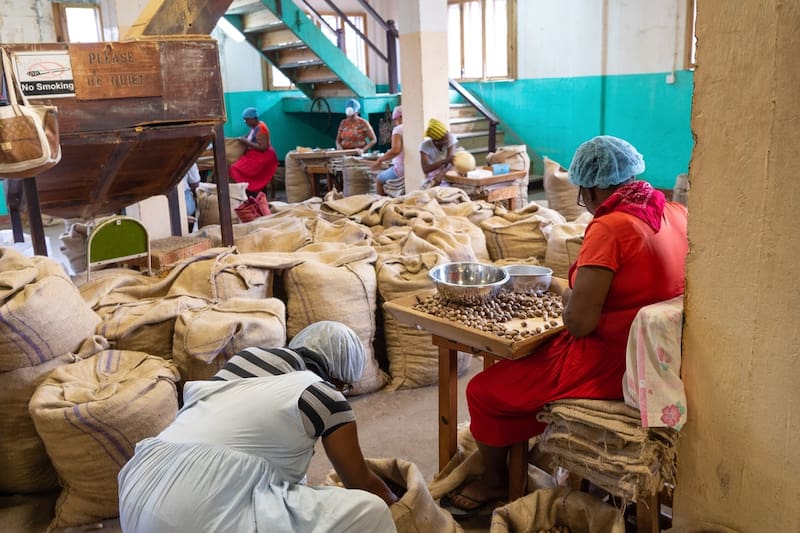 Aprobado en Diputados
