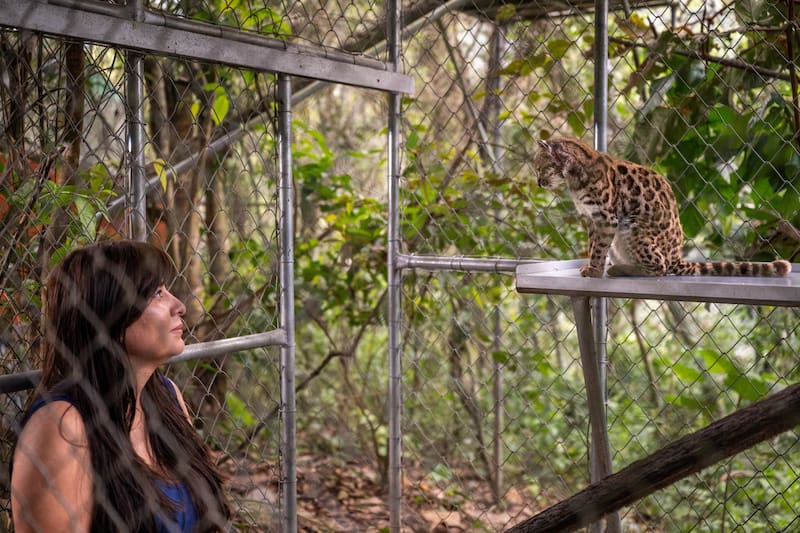 El nuevo animal descubierto.