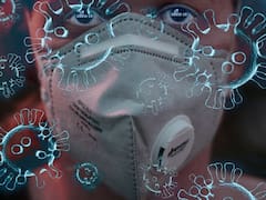 Virus Nipah | El mundo entero en alerta: qué es, cómo se contagia y cómo protegerse