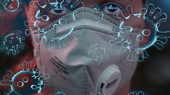 Virus Nipah | El mundo entero en alerta: qué es, cómo se contagia y cómo protegerse