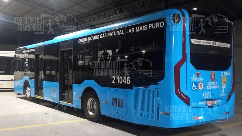 Nuevos colectivos de China