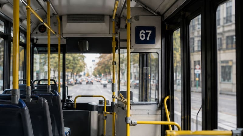 El número que identifica a cada colectivo: para qué sirve el número interno y en qué situaciones conviene anotarlo.