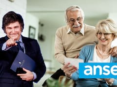 ANSES confirmó los nuevos montos de SUAF y AUH para noviembre 2025: cuánto cobro y cuándo