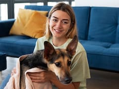 Oficial: Estados Unidos ofrece alojamiento gratuito a extranjeros a cambio de cuidar casas y mascotas con esta única condición
