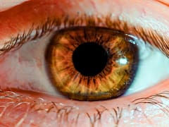 El hallazgo médico del siglo | Descubren la fórmula para devolverle la vista a millones de personas