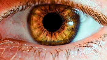 El hallazgo médico del siglo | Descubren la fórmula para devolverle la vista a millones de personas