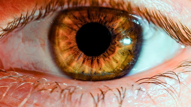 El hallazgo médico del siglo | Descubren la fórmula para devolverle la vista a millones de personas