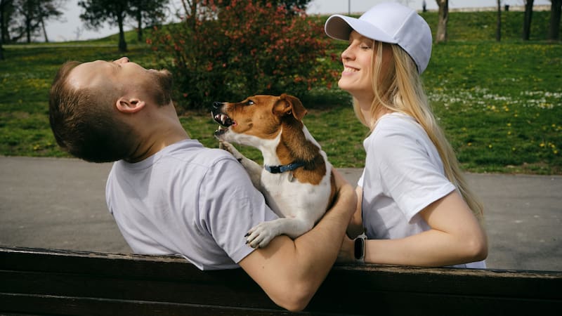 El estudio analizó el olfato de los perros y su análisis de los humanos.