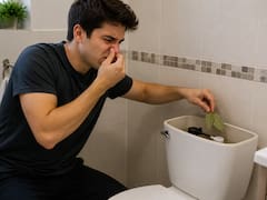 Cómo eliminar el mal olor del baño usando hojas de laurel: el mejor truco casero