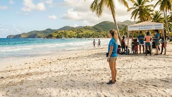 Buscan voluntarios para vivir gratis en una isla del Caribe: ofrecen habitación privada, comida y solo 20 horas de trabajo por semana