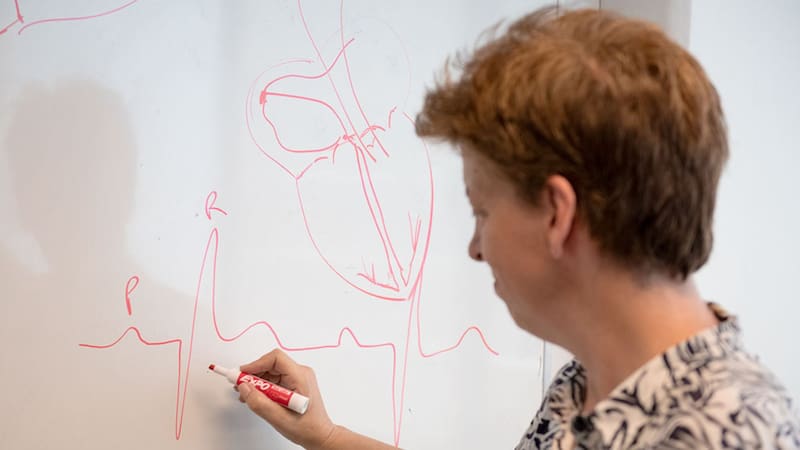 Orgullo argentino: científicos del CONICET desarrollan un marcapasos más preciso y revolucionan la medicina mundial
Fuente: Conicet