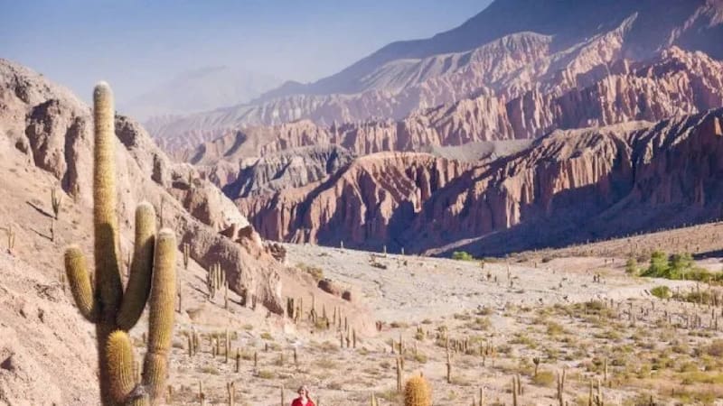 Orgullo nacional: el rincón para disfrutar de la naturaleza a 3.500 metros de altura