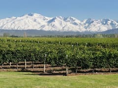 Orgullo nacional: esta bodega argentina se consagró como la mejor fuera de Europa