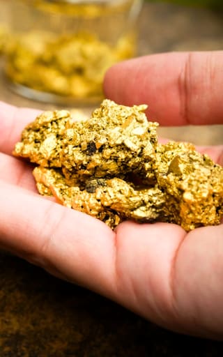 Hallazgo sin precedentes: descubren una planta que produce oro y puede ser cultivada en el hogar