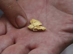 Todos lo botan a la basura pero contiene oro de 22 quilates y puede valer miles de dólares