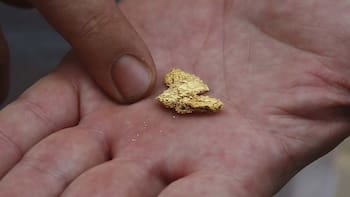 Todos lo botan a la basura pero contiene oro de 22 quilates y puede valer miles de dólares