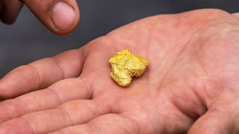 Todos lo botan a la basura pero contiene oro de 22 quilates que puede venderse por miles de dólares