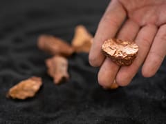 Hallazgo dorado | Descubren una planta que produce oro puro y se puede cultivar en las casas