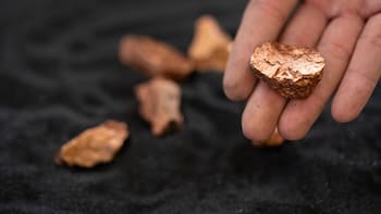 Hallazgo dorado | Descubren una planta que produce oro puro y se puede cultivar en las casas