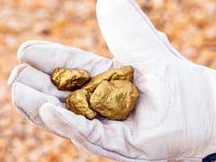 Una fortuna: el electrodoméstico que todos poseen en casa y tiene oro de 22 quilates