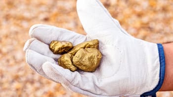 Una fortuna: el electrodoméstico que todos poseen en casa y tiene oro de 22 quilates