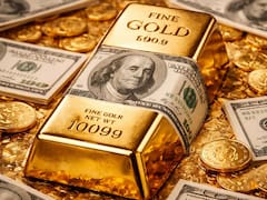 BCRA compró más dólares: en cuánto quedaron las reservas, el impacto del precio del oro y qué pasó con el pago al FMI