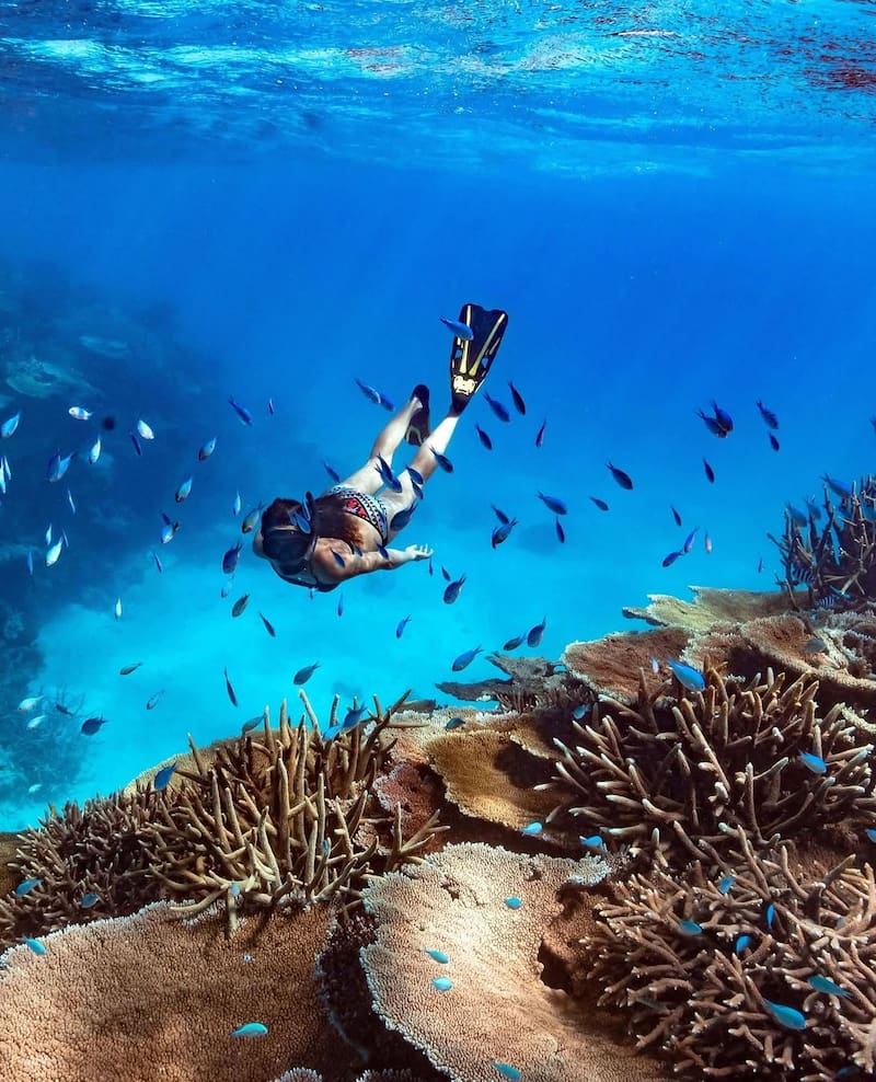 Orpheus Island, Australia.