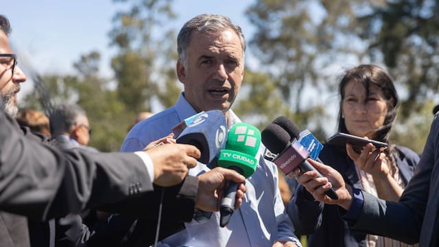 “Normalmente, por lo general, cuando hay descuentos yo me tiro de cabeza”
