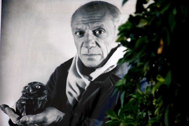 Picasso vivió 91 años. Nació en 1881 y murió en 1973, por lo que su vida atravesó prácticamente todo el siglo XX.