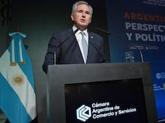 Quirno sobre la OCDE: “Tenemos que jugar con las reglas del mundo”