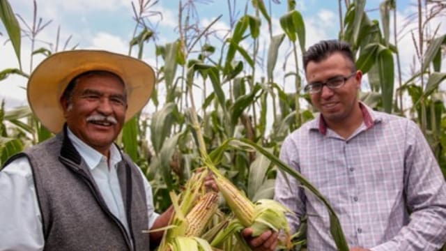 Oficial y confirmado | El Banco del Bienestar podría hacer un depósito de entre 7,000 y 24,000 pesos a los ciudadanos de México que se inscriban en el padrón de Agricultura