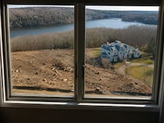 Cortaron más de cien árboles para mejorar el paisaje desde su ventana: los multaron por más de USD 600.000