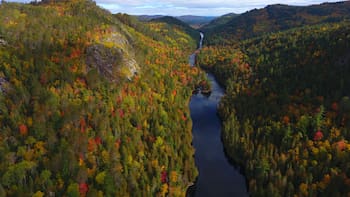 “Lluvia” de madera en Estados Unidos: por qué el gobierno arroja troncos a los ríos y cómo afecta al medio ambiente