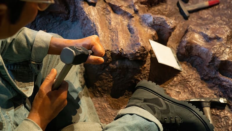 España logra un hito científico con el hallazgo en Burgos de un dinosaurio del tamaño de un perro y reabre el debate sobre la evolución de los herbívoros.