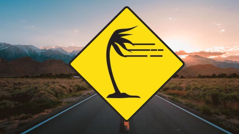Qué significa señal de tránsito con una palmera sobre un fondo amarillo y por qué es importante a la hora de conducir.