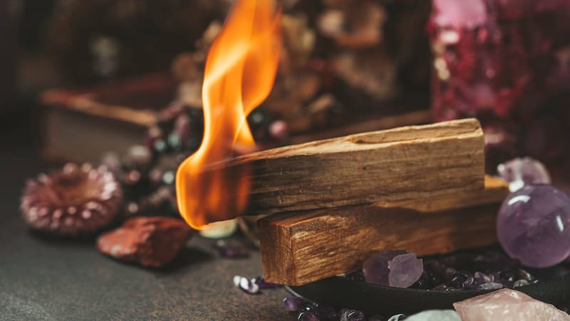 Beneficios de quemar Palo Santo. Fuente: Shutterstock.
