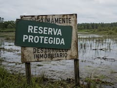 En 2007, compraron un pantano para detener un desarrollo inmobiliario. 15 años después lo habían transformado en un ecosistema único en el mundo