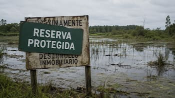 En 2007, compraron un pantano para detener un desarrollo inmobiliario. 15 años después lo habían transformado en un ecosistema único en el mundo